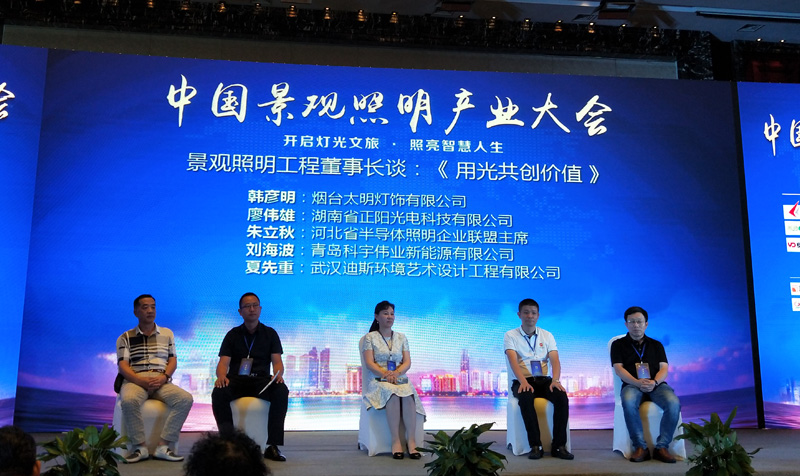 湖南桃花视频亮化工程