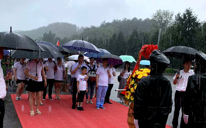 湖南桃花视频黨組織